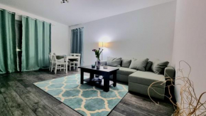 Swan Brasov Apartment
